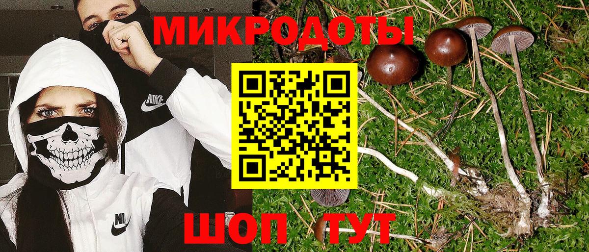 Галлюциногенные грибы Psilocybine cubensis Чебаркуль