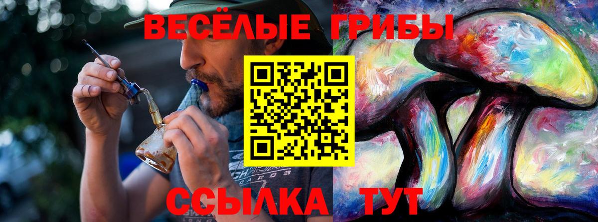 Псилоцибиновые грибы Psilocybine cubensis  Галлюциногенные грибы мухоморы  Вход с VPN  Чебаркуль 